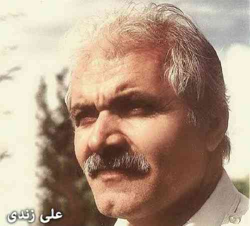 علی زندی راوچی